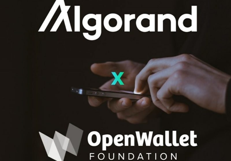 Algorand_OpenWallet_Foundation.jpg